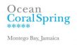 OCEAN CORAL SPRING logo